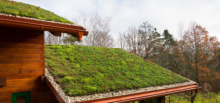 Mission Viejo Residential Green Roof